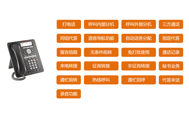 官网IP.jpg
